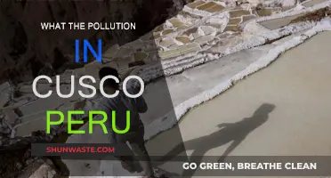 Cusco's Pollution: A Battle for Peru's Ancient Capital