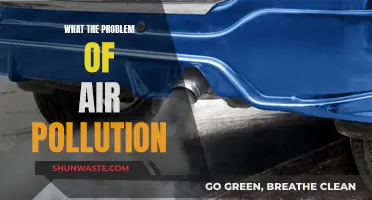 Air Pollution: A Global Health Crisis