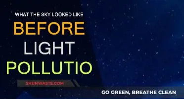 The Night Sky: A Pre-Light Pollution Story