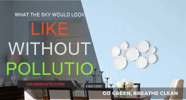 A Pristine Sky: Visualizing a World Without Pollution