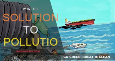 Green Revolution: Solving Pollution with Innovation