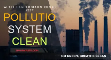 US Anti-Pollution Strategies: Keeping America Clean