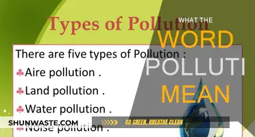Understanding Pollution: What Does It Mean?