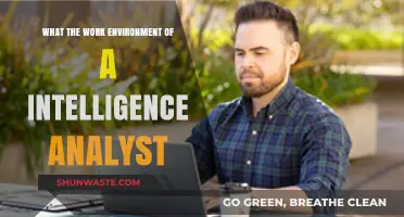 Inside the World of Intelligence Analysts: Work Environment Explained