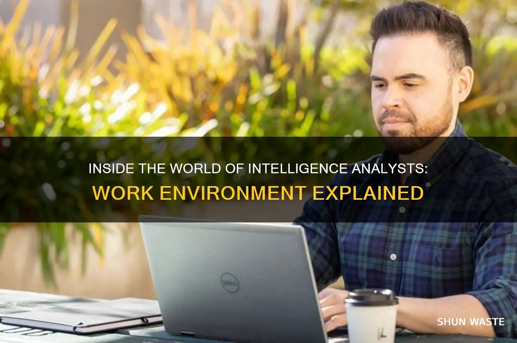 what the work environment of a intelligence analyst
