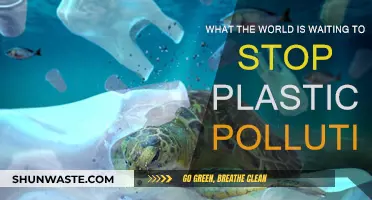 The World Needs Action to Stop Plastic Pollution