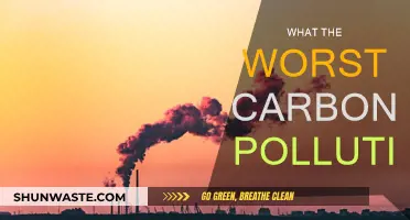 Carbon Pollution: The Worst Offenders and Their Impact