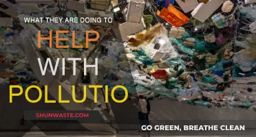 How Big Companies Are Tackling Pollution