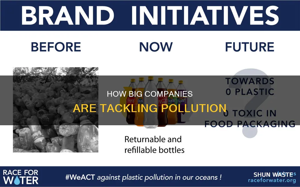 what they are doing to help with pollution