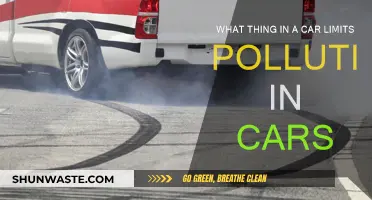 How Cars Limit Pollution: The Secret Component
