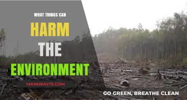 Human Activities and Practices That Seriously Damage Our Environment