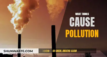 Unveiling the Hidden Causes of Pollution: A Comprehensive Guide