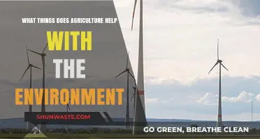 Agriculture's Environmental Impact: Sustainable Practices for a Greener Future