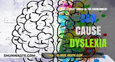 Environmental Factors Linked to Dyslexia: Uncovering Potential Triggers and Risks