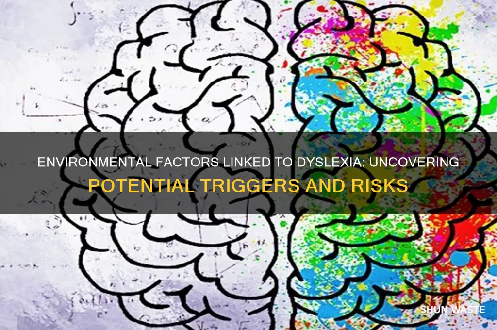what things in the environment can cause dyslexia