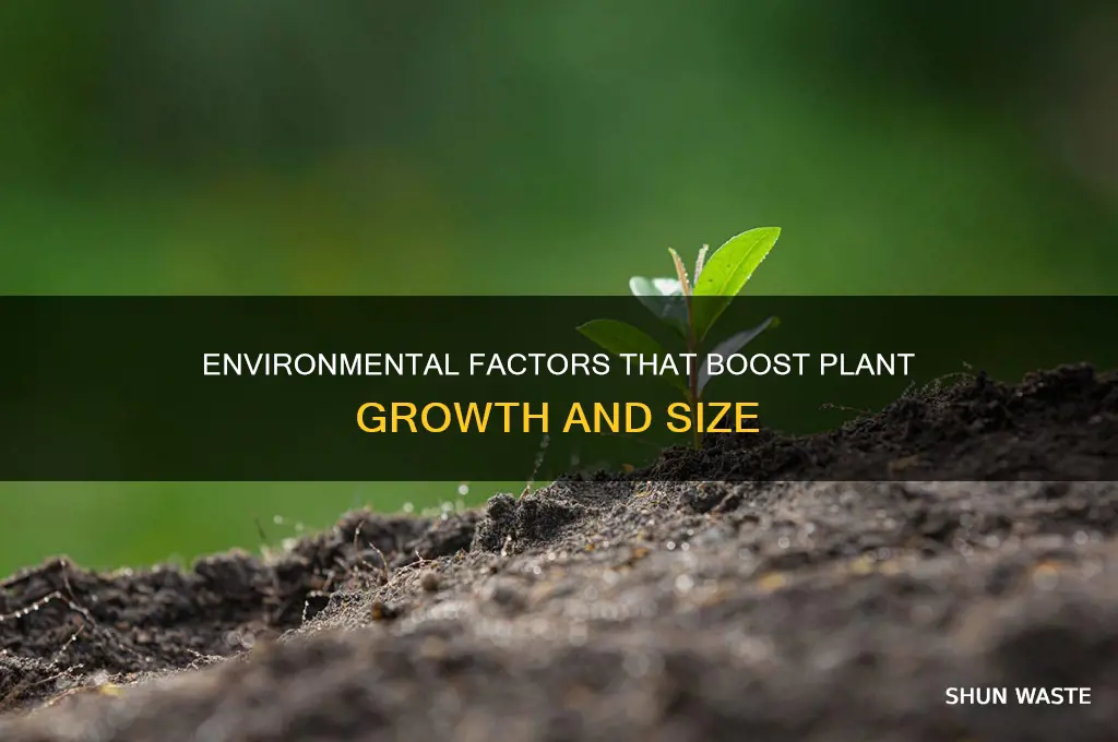 what things in the environment can make plants bigger