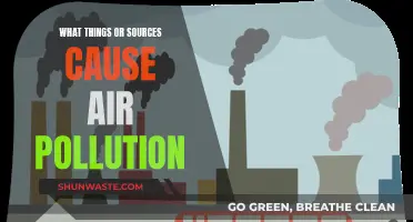 Unveiling the Hidden Sources: Air Pollution's Unseen Culprits