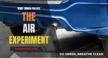 Air Pollution: Experiment Reveals the Culprits