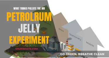 Air Pollutants: Petroleum Jelly Experiment Reveals the Invisible