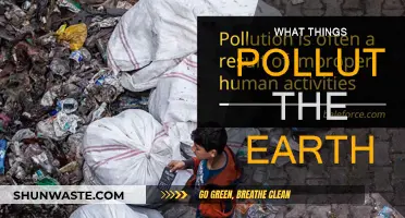 Human Activities Polluting Our Earth
