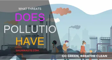 Pollution's Impacts: Understanding the Threats and Dangers