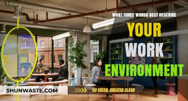 Three Words That Perfectly Capture My Vibrant Work Environment