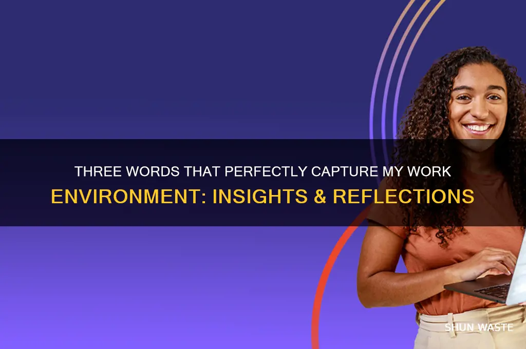 what three words describe your work environment