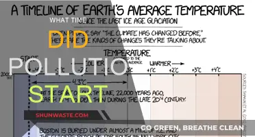 When Did Pollution Begin?