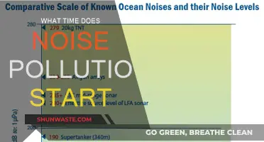 The Disturbing Hour: When Noise Becomes Pollution