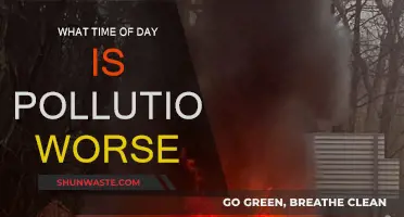 Morning Haze: Pollution's Daily Peak