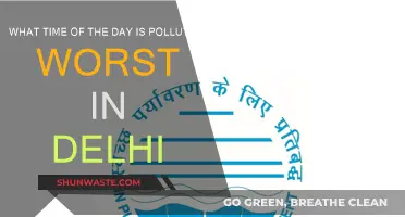 Delhi's Pollution Peaks: Understanding the Worst Times