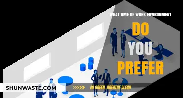 Exploring Ideal Work Environments: Collaborative, Independent, or Hybrid Preferences?
