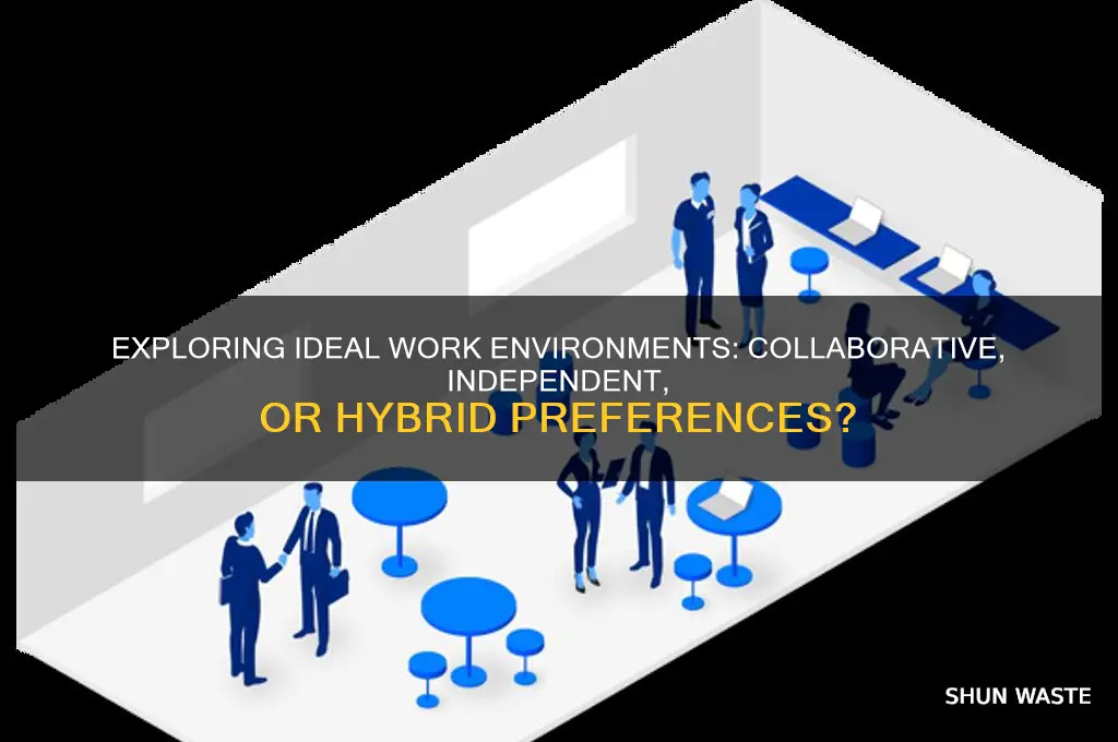 what time of work environment do you prefer