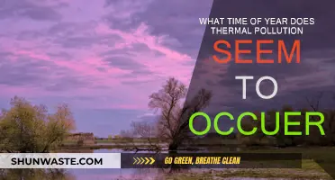 Thermal Pollution: A Seasonal Environmental Concern?