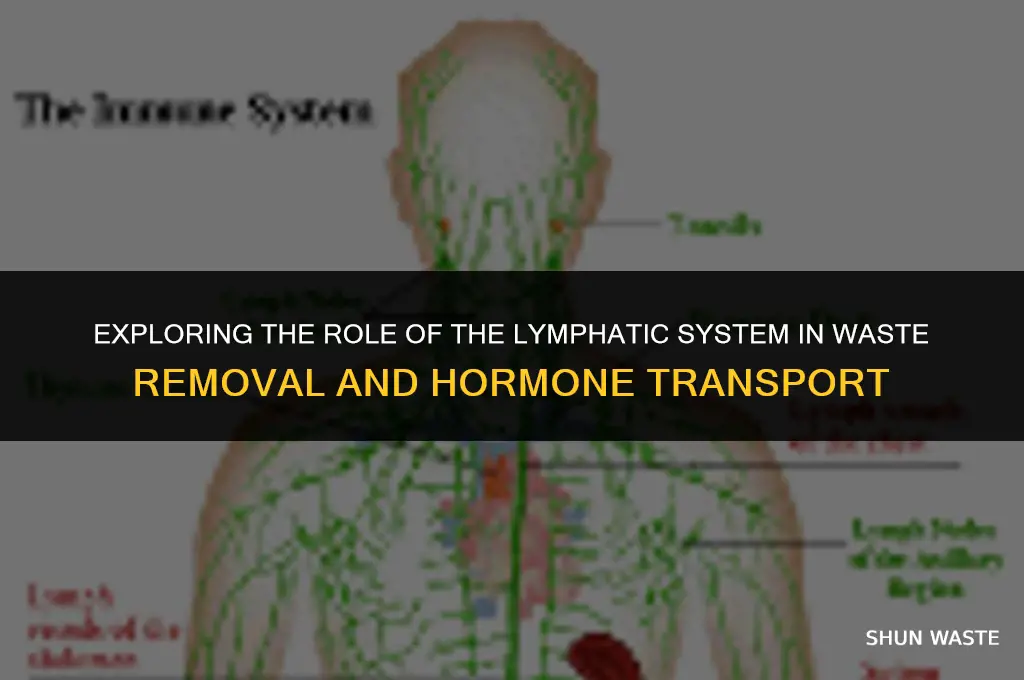 what tissue carries food waste products and hormones