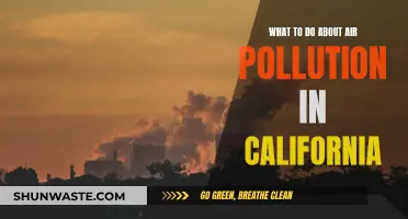 California's Air Pollution: Strategies for Change