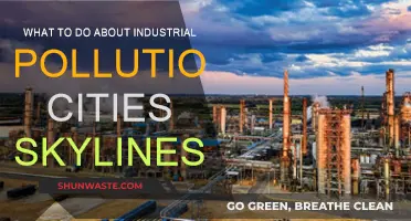 Strategies to Combat Industrial Pollution in Cities: Skylines
