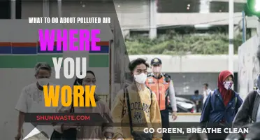 Breathe Easy: Simple Ways to Improve Work Air Quality