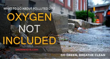 Purifying Polluted Dirt in Oxygen: A Guide