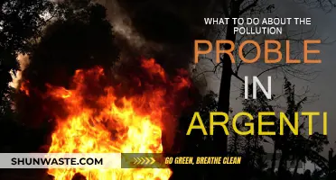 Argentina's Pollution Crisis: Solutions and Strategies