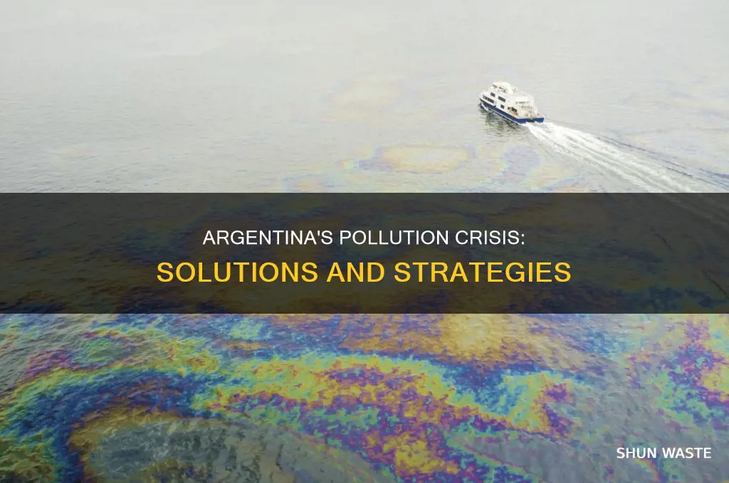 what to do about the pollution problem in argentina
