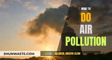 Protecting Ourselves from Air Pollution