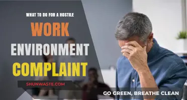 Navigating Hostile Work Environment Complaints: Essential Steps for Employers and Employees