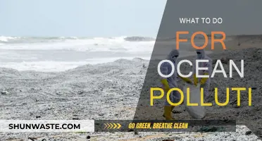 Protecting Our Ocean: Actionable Steps to Reduce Pollution