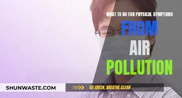 Protecting Your Health from Air Pollution's Physical Symptoms