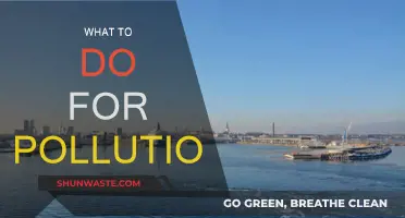Pollution Solutions: Simple Steps to Breathe Easier
