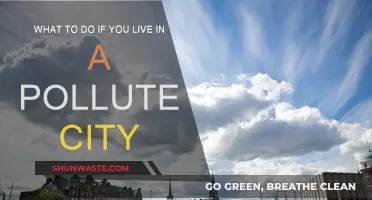 Breathe Easy: Tips for Living in Polluted Cities