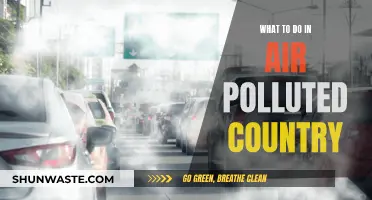 Breathing Easy: Tips for Surviving Air Pollution