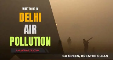 Delhi's Air Pollution: Tips for Survival and Action