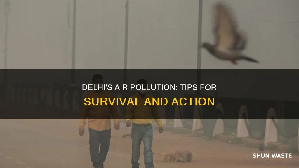what to do in delhi air pollution